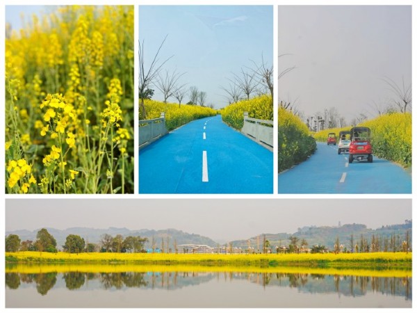 1653986497107884.jpg 20220315164813881388.jpg