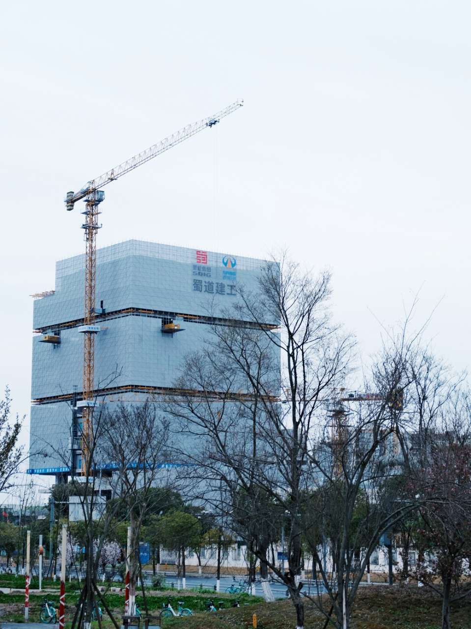 1744020741214814.jpg mmexport1741323385509.jpg