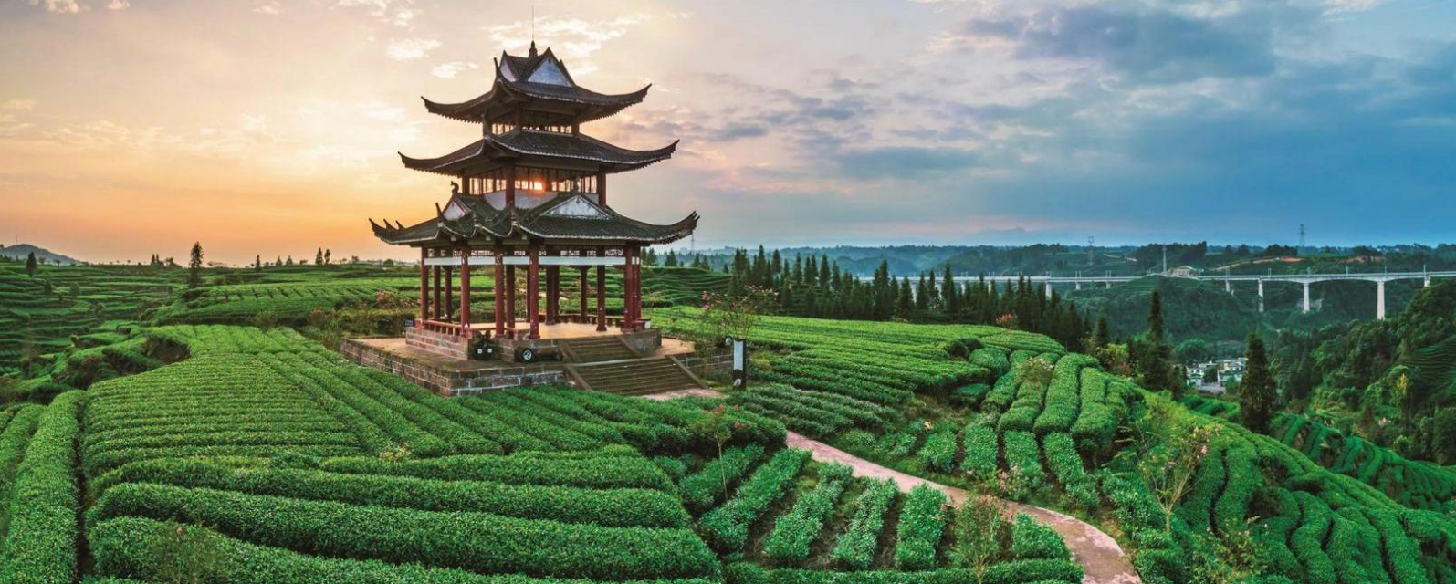 1756956885668584.png 19630602-a97a-49fd-a3e7-255a1be50a5e.png